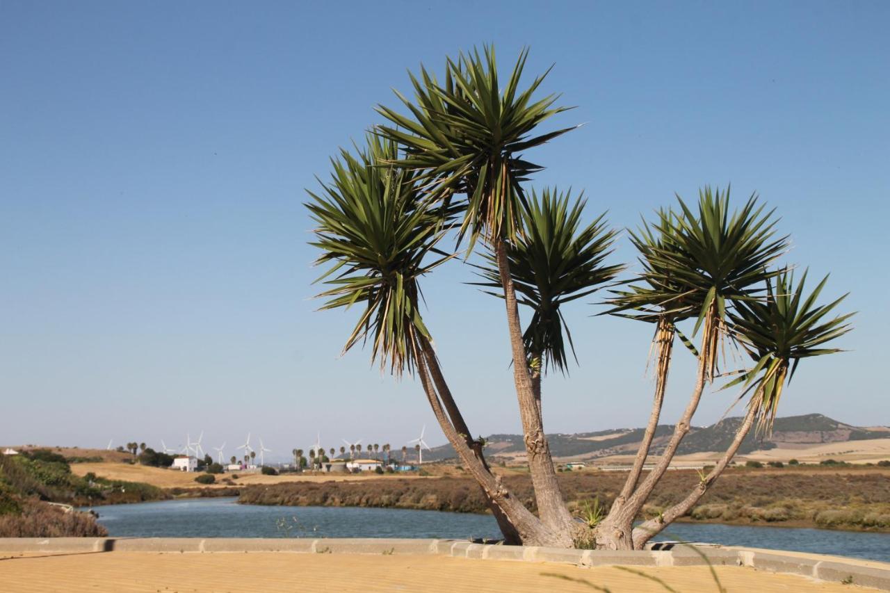 Duplex En Conil *